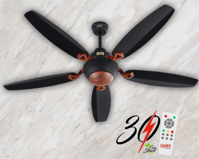 Nayab Antique Black Red Second View product thumbnail